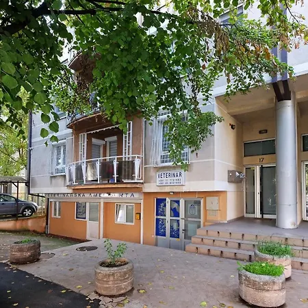 Jolly - Apartament
